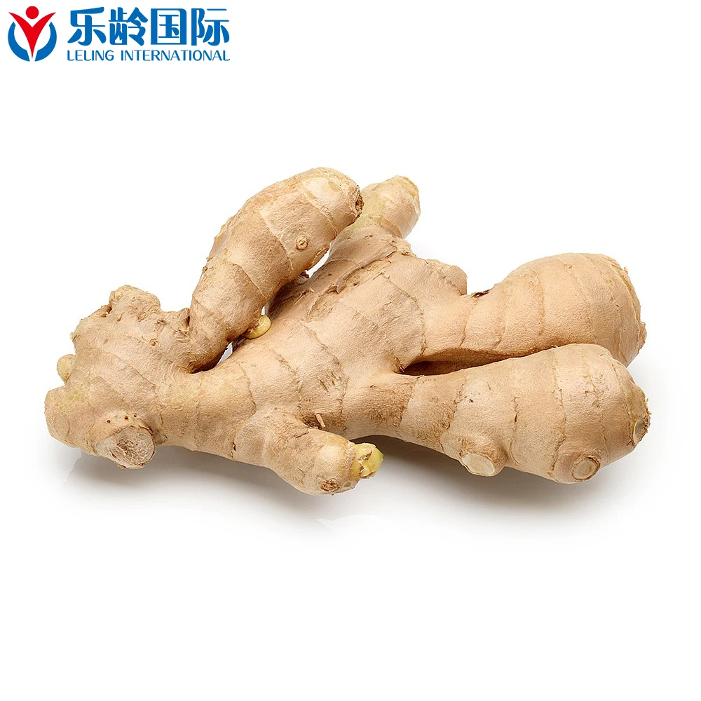 New Crop 2021 Wholesale Factory Supply High Quality Fresh Ginger Price per ton for export China Ginger