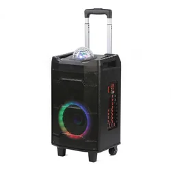 8 inch Hot Selling trolley outdoor Speaker with mic party portable subwoofer with karaoke Speaker