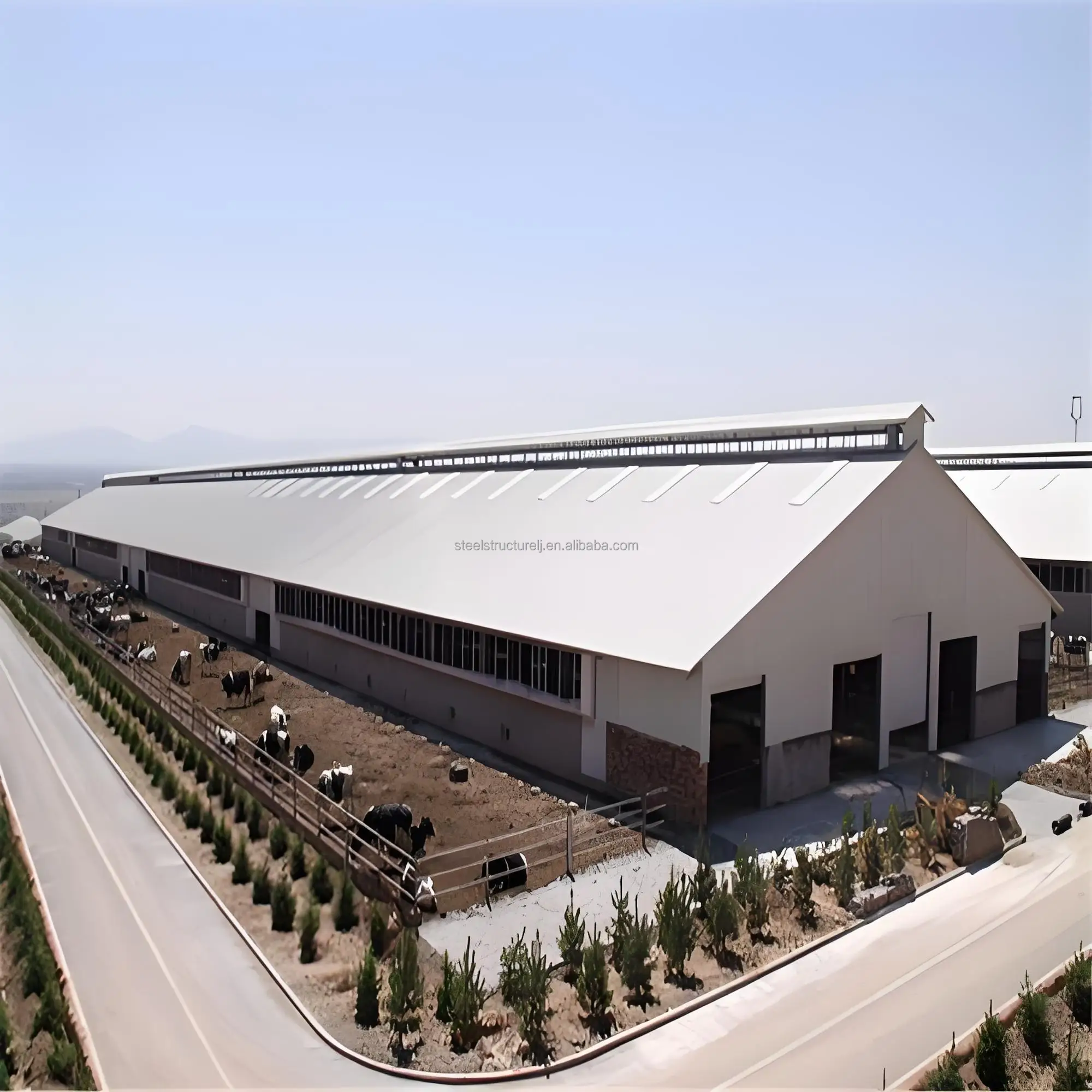 Lightweight Steel Structure Large-Span Buildings for Agriculture and Animal Husbandry on Farms