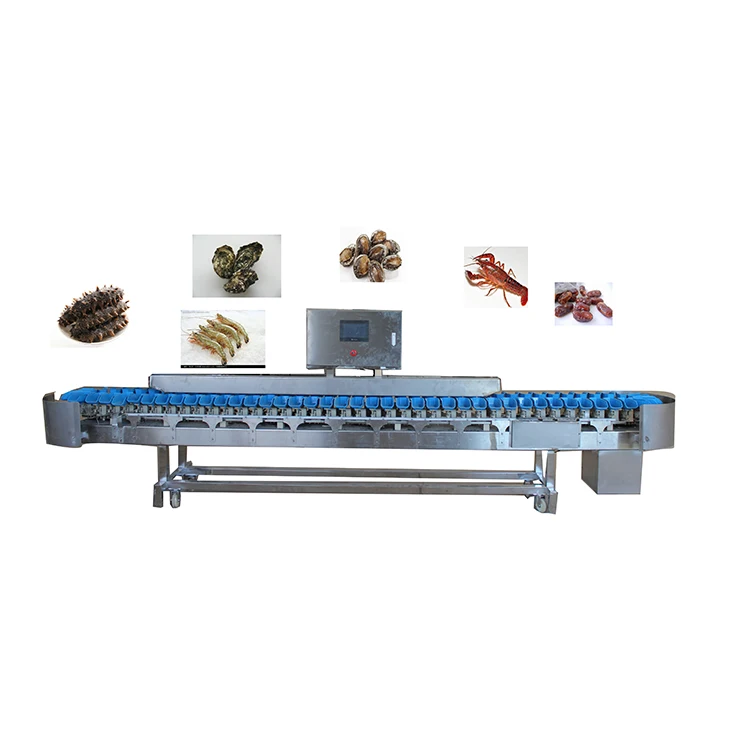 New making food processing machinery sea oyster sorting machine