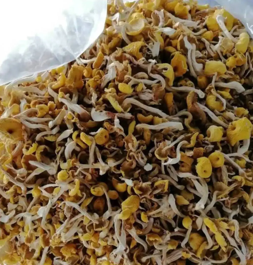 Import and export dried yellow mushroom, manufacturer sales