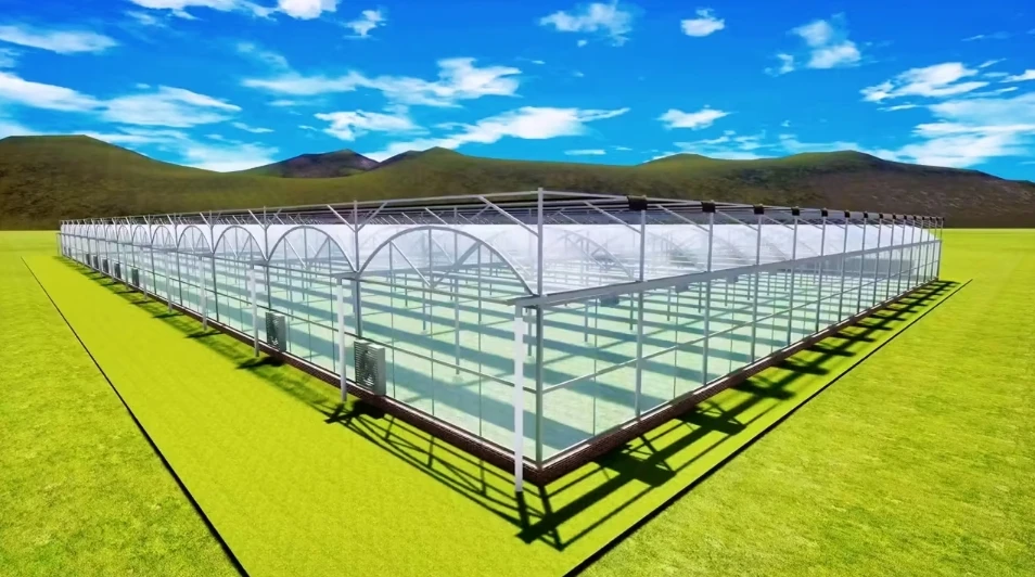 Industrial PE Plastic Film Greenhouse Polytunnel Polycarbonate Agriculture Awning Small Large Layer Greenhouse