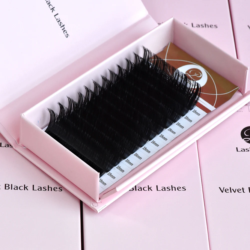LashPlus wholesale price high quality lash vendor private label lash individual eyelash extensions