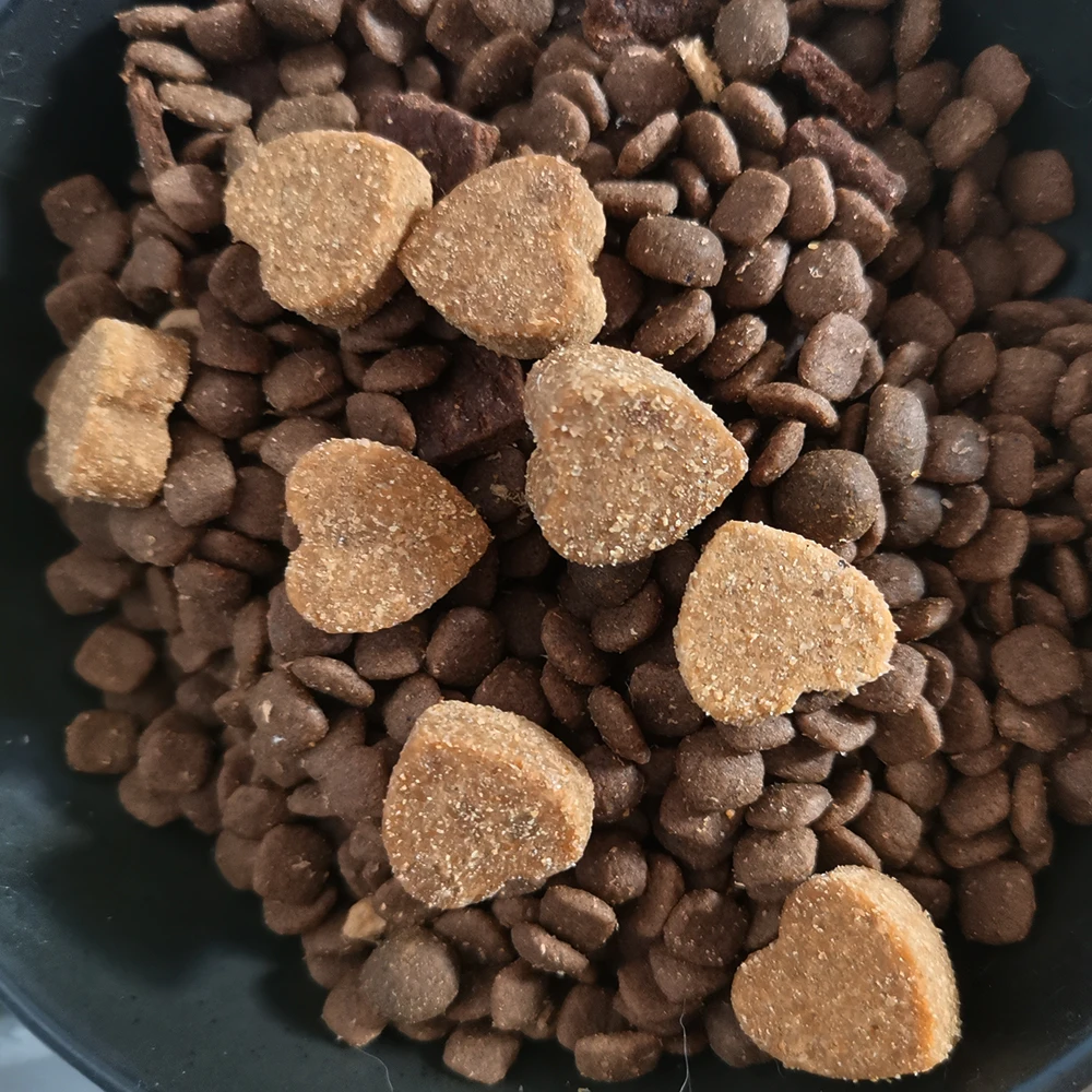 Wholesale Private Label Probiotic  Digestive Health Supplement Pet Supplements Probiotics for dogs Beef flavor