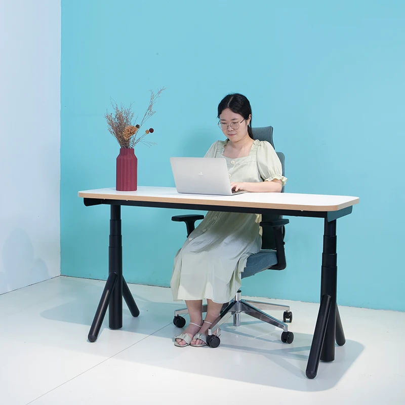 Electric Stand Up Desk Frame Lifting Sit Stand Mobile Desk Table Single Motor Height Adjustable Standing Desk