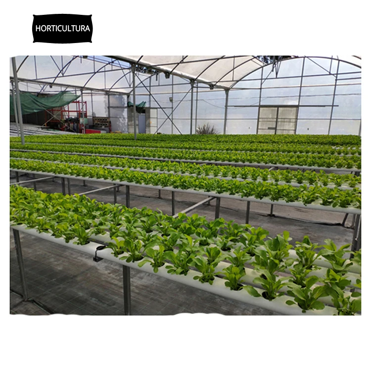 Hot Selling of Newly Arrived Good Quality Virgin Pipe Made NFT Hydroponic Channel for Worldwide Buyers