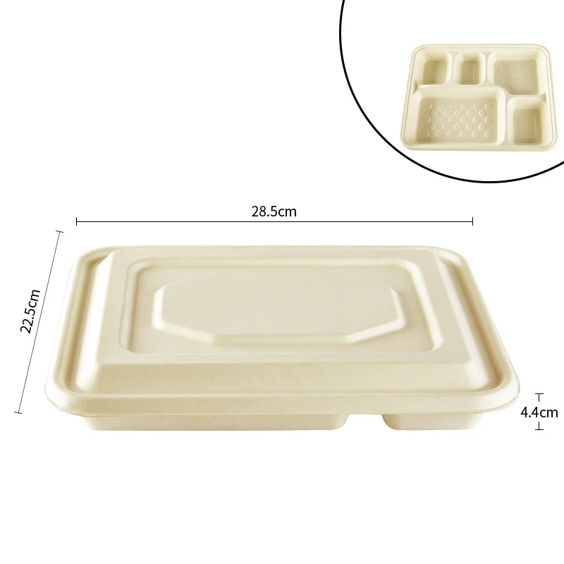 China kitchen takeout 1000ml disposable container three four five compartment takeaway food containers