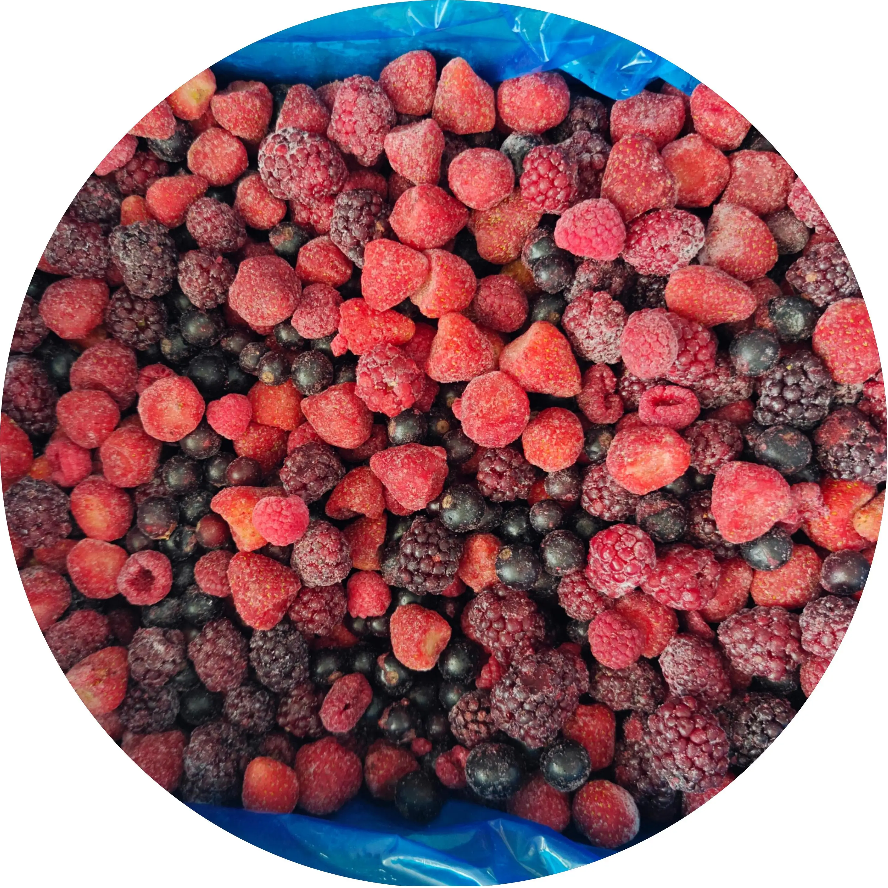 Manufacturer of IQF frozen mixed berries OEM welcomed bulk price with perfect quality frozen fruits new season fast delivery