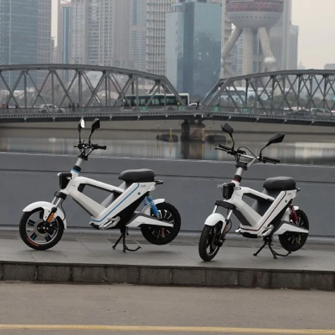High-efficiency Hydrogen Powered Bicycle Sharing Electric Vehicle for Mass Transit