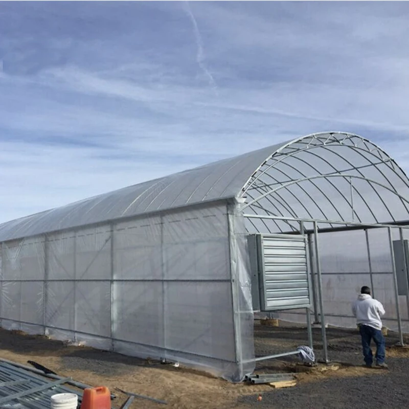 Good sealing performance polythene cover film single span greenhouse anti aging mushroom greenhouse for outdoors