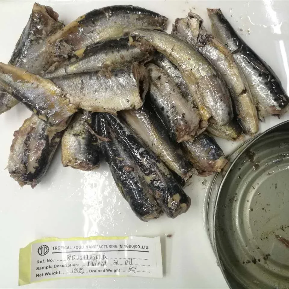 Good Quality Fish Canned Sardine In Tomato Sauce Natural Oil Brine