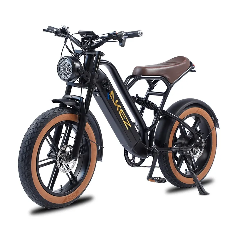 DUNCHI Best Quality Low Price Fat Tire 48v 750W Electric Bicycle E Bike Mountain E Bike Long Range
