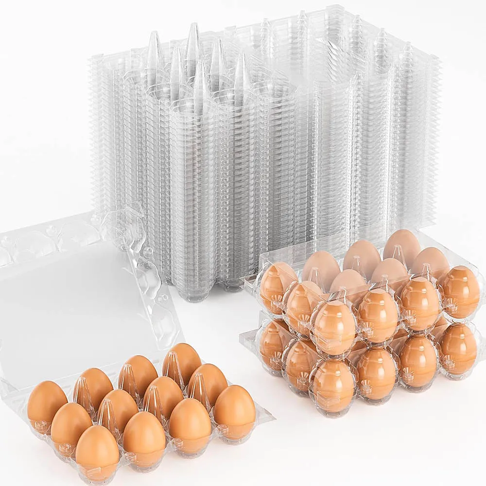 Molded Pulp Egg Cartons Samples Pulp Chicken Egg Cartons Boxes Molded White Pulp Egg Carton
