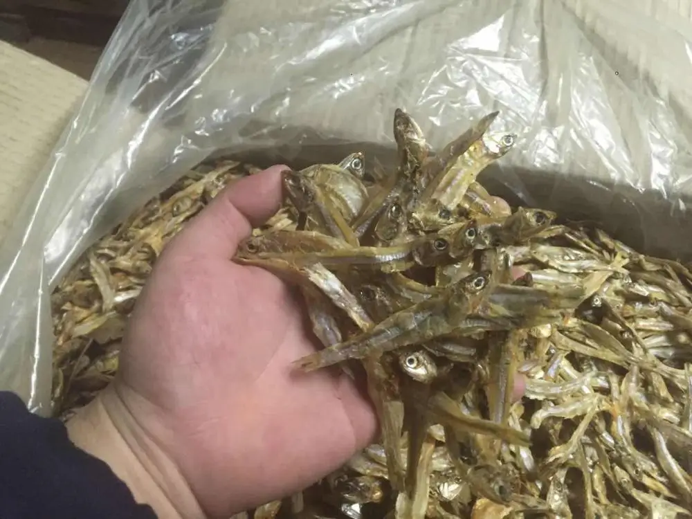China origin  Dried Anchovy for Human