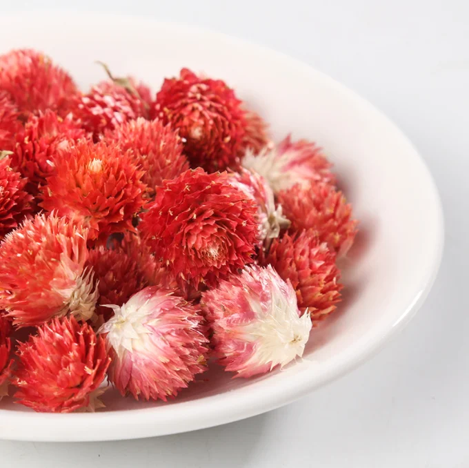 Summer Flora factory supply decorative flowers rainbow flowers globe amaranth dried flowers