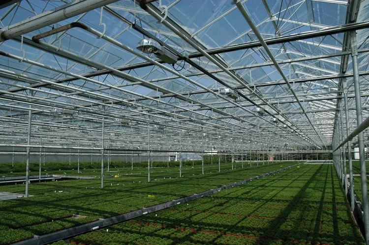 Modern venlo Polycarbonate Glass farming greenhouse Multi-Span Commercial pc sheet Greenhouses Prefab green house overall system