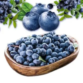 
frozen wild blueberry IQF wild blueberries 