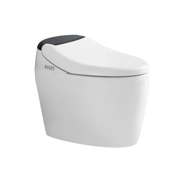 Smart toilet with Intelligent functions and automatic wc bidet operation
