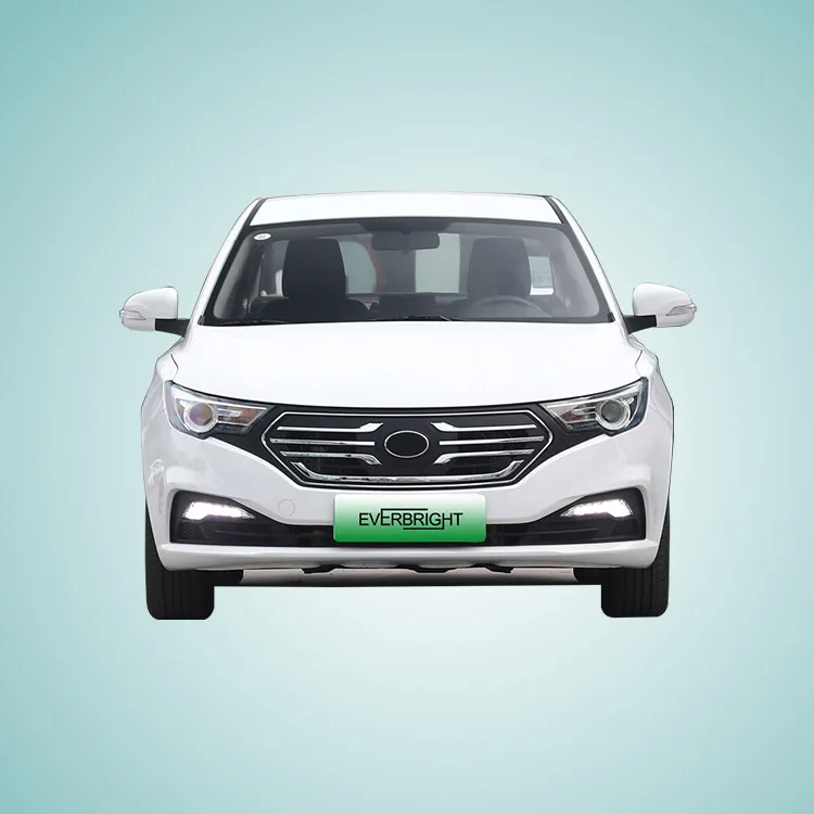 EBU 2023 new EEC M1 certified high-end electric mini car high speed 130km/h and endurance 300km carro electrico with airbag SUV