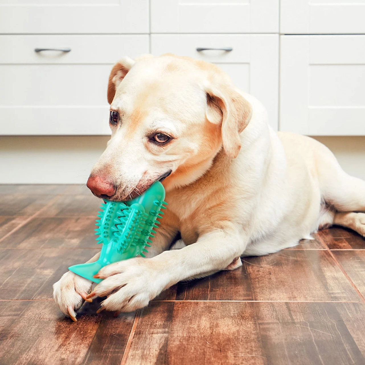 JOYSING Wholesale 100%  Food-Grade Natural Rubber Dog Toy Oral Care Tooth Brush Stick Toy Durable Dog Chew Toys