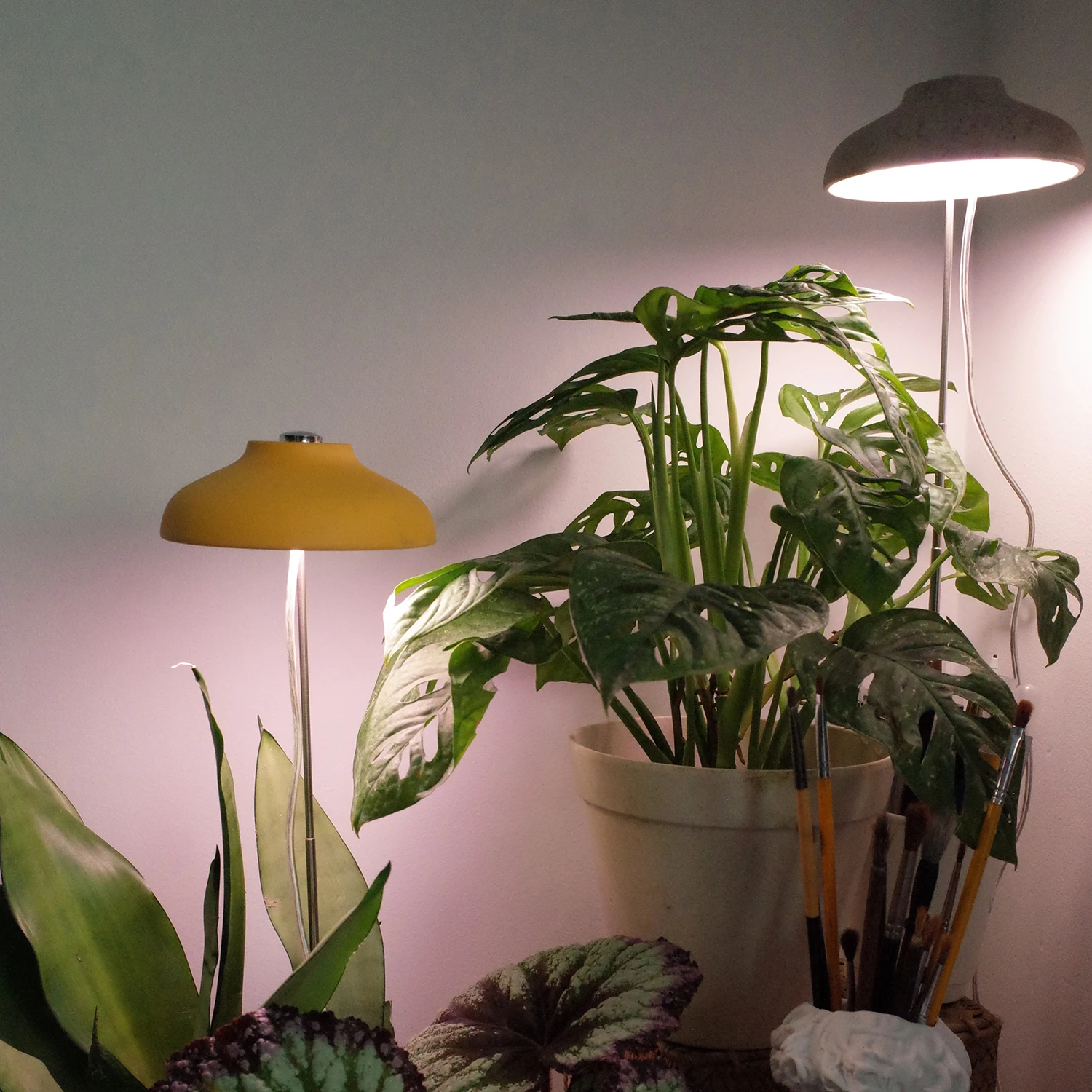 Minigarden smart indoor herb garden smart flower garden home decoration