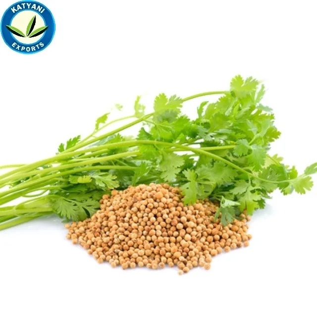 100% Pure & Natural OLEROESIN CORIANDER GREEN, 1.5% VOC