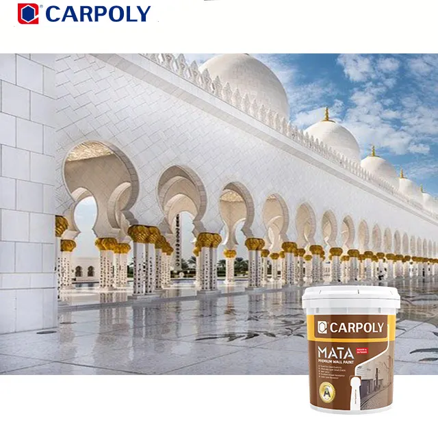 CARPOLY наружная настенная краска, специальный эффект, каменная Краска высокого уровня, текстурная краска для отеля