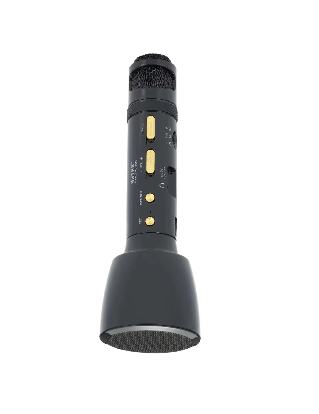 WS2811Botao Support USB TF CARD FM RADIO With Disco Light Wireless Baby Microphone Karaoke Speaker