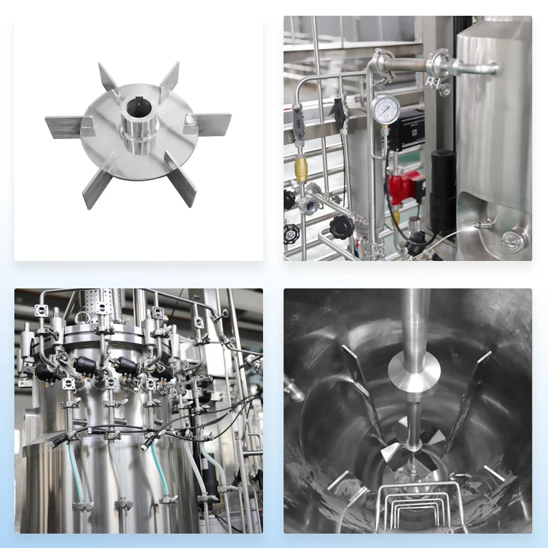 Stainless Steel Industrial Bioreactors 100L 200L 500L 1000L