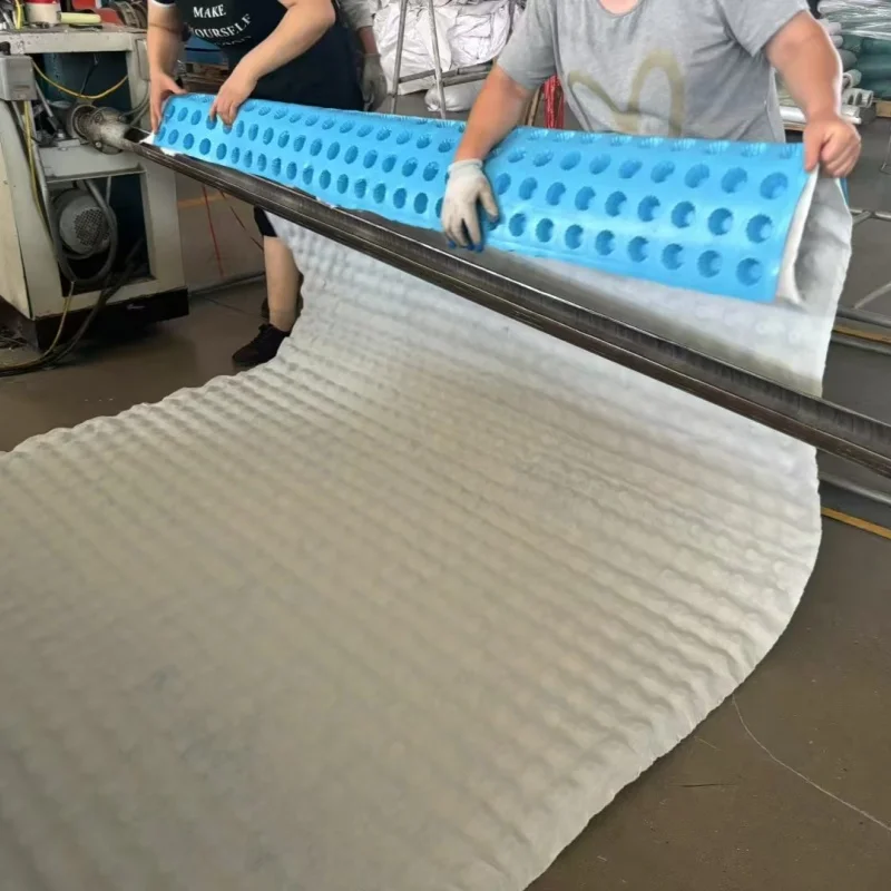 Дренажная доска HDPE белого и черного цвета пластиковая дренажная для мощности plsnts или складских площадок