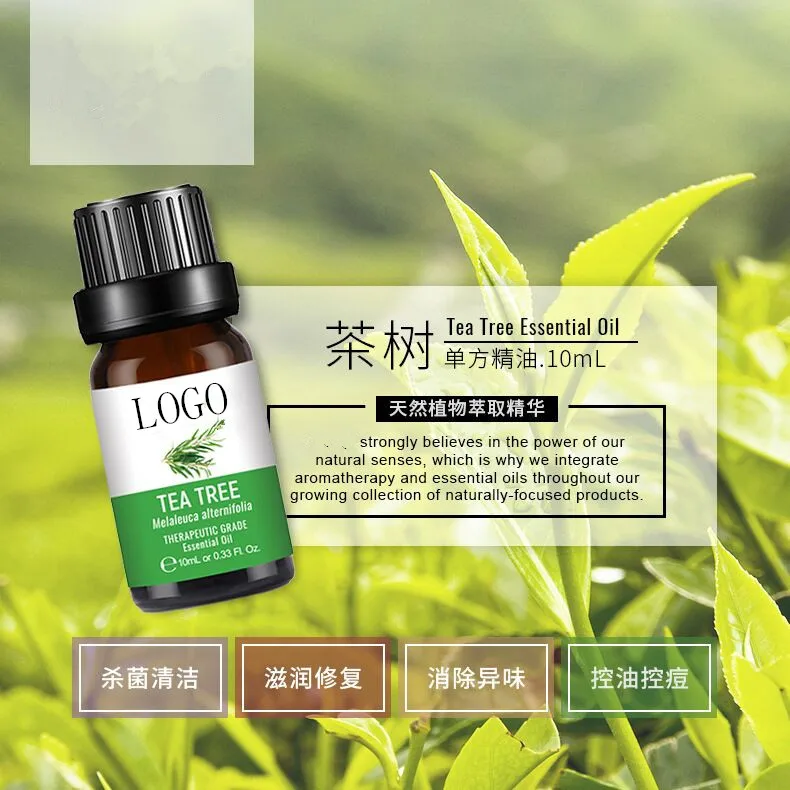 Durable natural essential oils 10ML tea tree essential oil Tea Tree Essential Oil