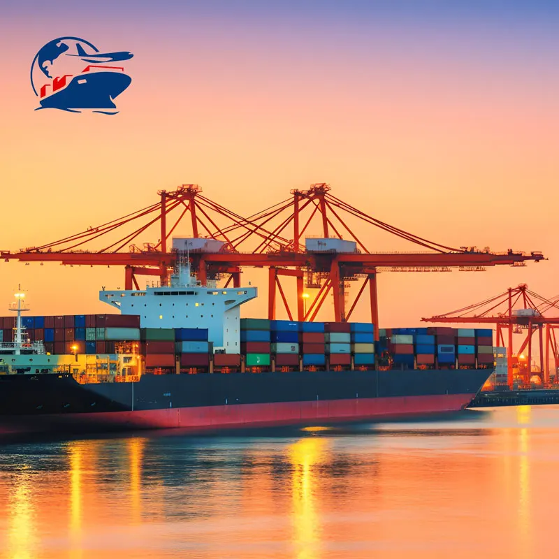 Sea Shipping From China Forwarding Agent Cargo Sea Freight Door to Door Shipping Agent Saudi Arabia Usa Uk Germany France