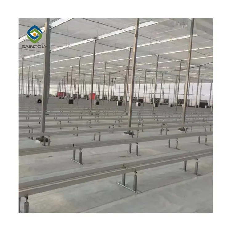 Multi-span agricultural plastic products plastic shed film green houses greenhouse with hydroponic growing systems