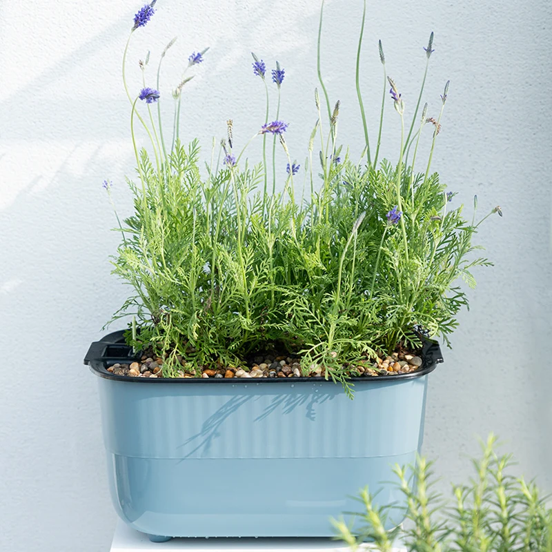 BRICE plastic rectangular vegetable garden pots macetas de plastico para viveros smart watering system for indoor pot plants