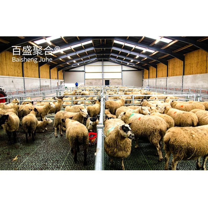 China manufacturer top quality sheep steel structure livestock farm sheds animal livestock
