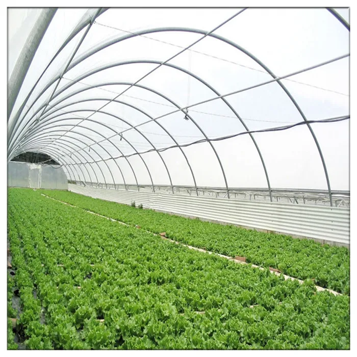 China Good Quality Single Span Poly Tunnel Plastic Film Steel Structure Agricultural Greenhouse