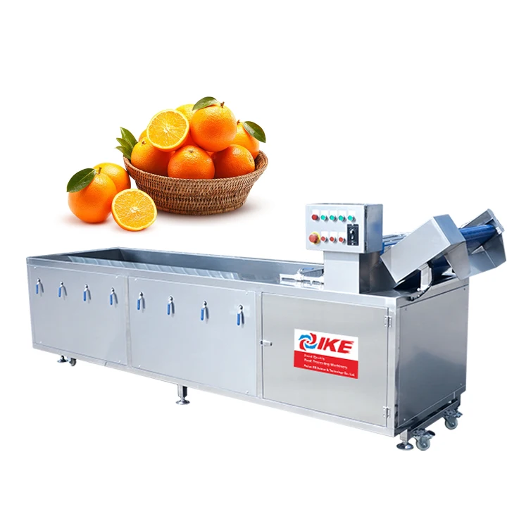 With Ozone high Pressure Vegetable Washing Machine Equipment Clean Oranges, Lettuce, Etc