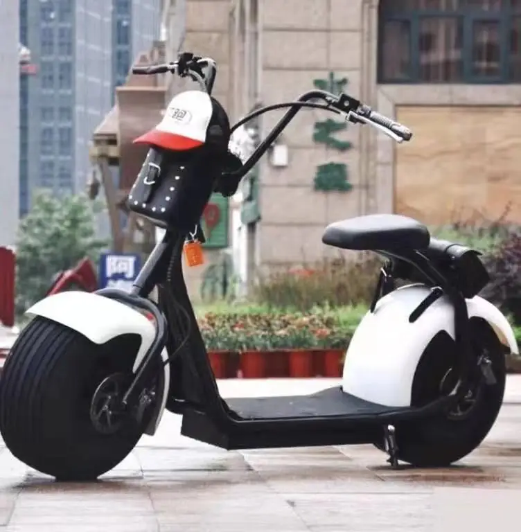 
Wide tire electric bicycle 