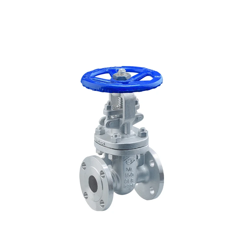 
XINTAI Custom 3/4 Inch Water Seal Manual Slide Flanged Stainless Steel Gate Valve Price 