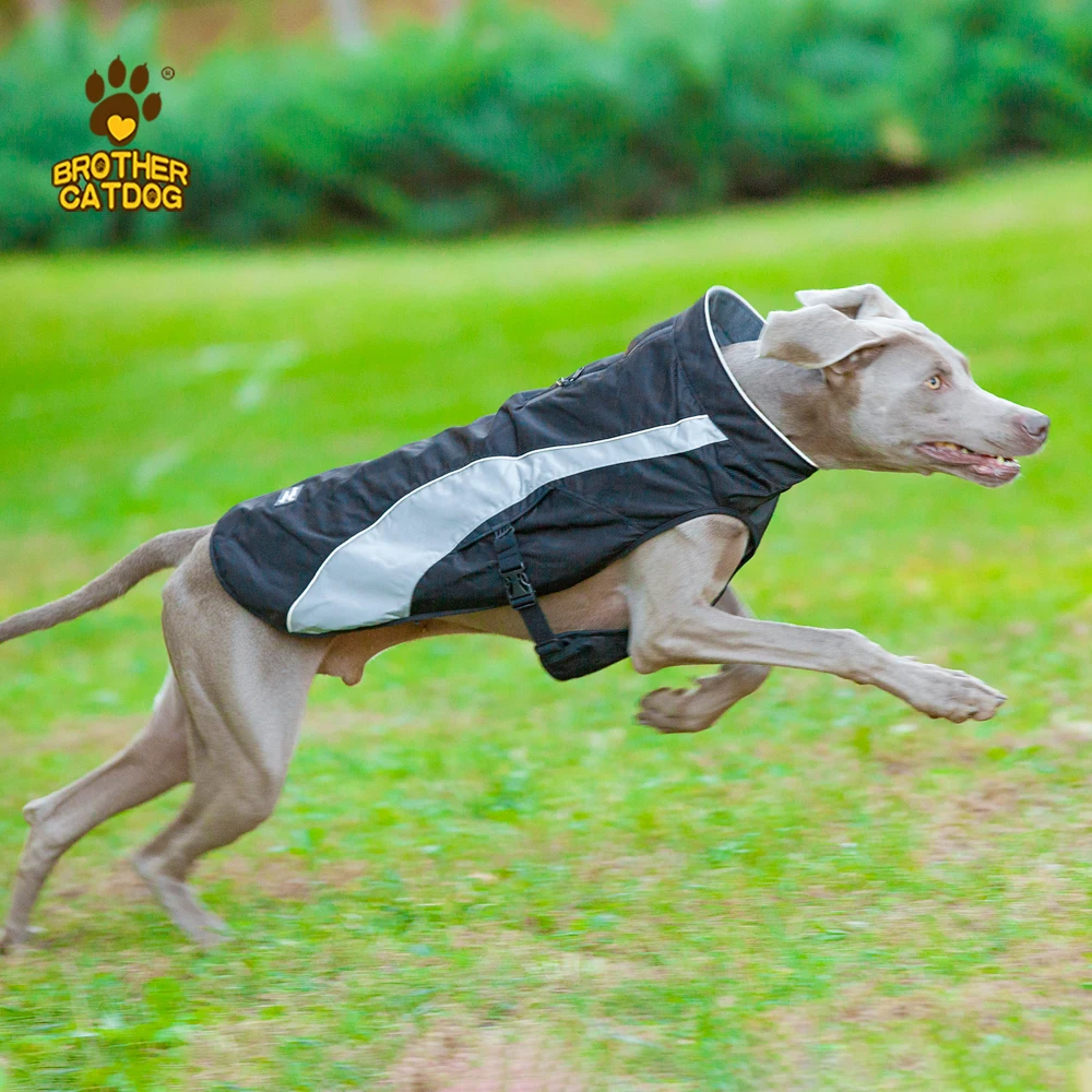 Blue pet outdoor training coat  Lightweight dog hunting clothes  Winter security fleece jacket keep warm reflective dog vest