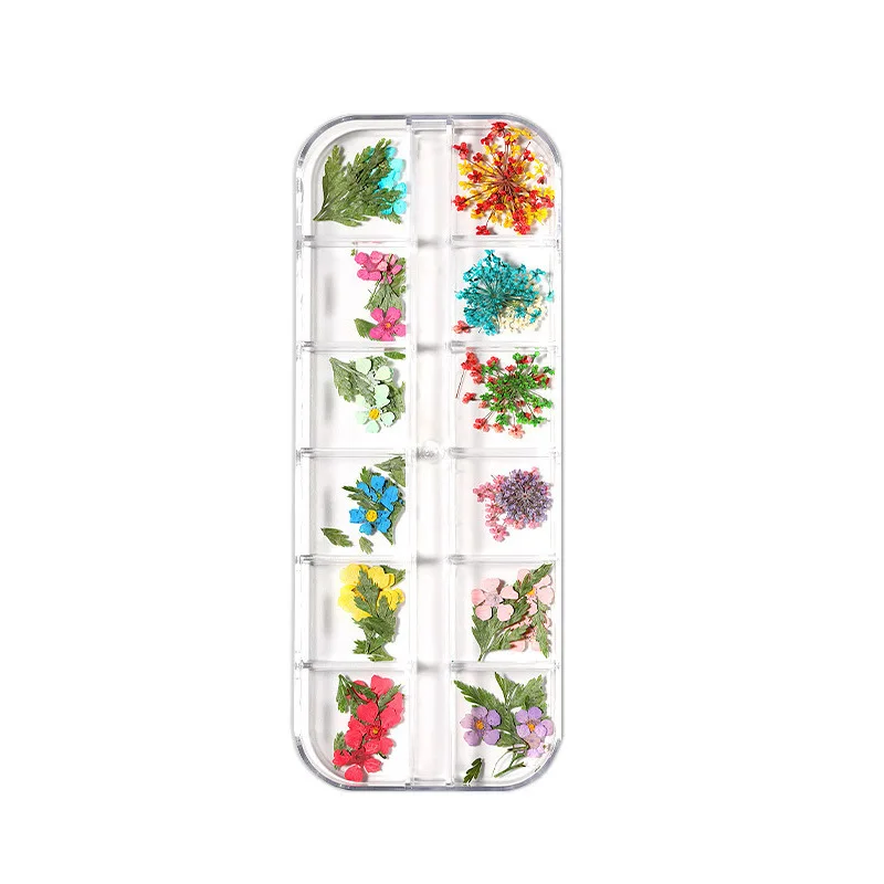 Fashion New nails products Real Flower Japanese 12 Color Box Combination Set Star SunFlower Small Daisy Nail
