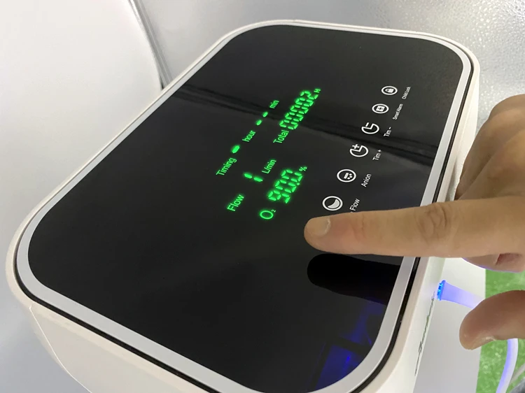 Hospital Portable 5 Liter 10 Liter Medical Oxygen Machine Oxygen Generator 5L 10L Oxygen Concentrator