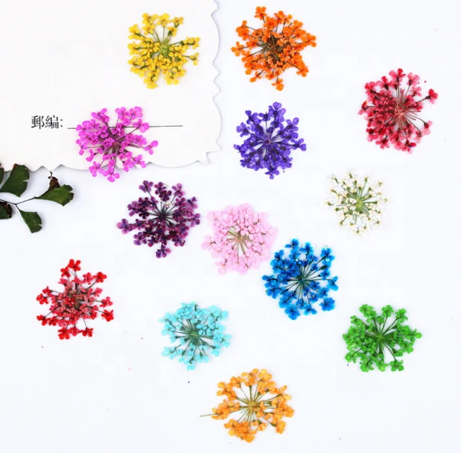 3d Nail Flower Pressed Dry Flowers Nail Art Diy Natural Real Dried Flowers For Nails Decoration Manicure