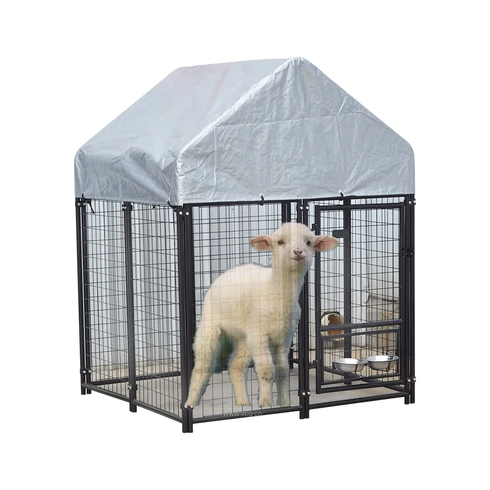
small animals baby goats sheep breeding cage outdoor 