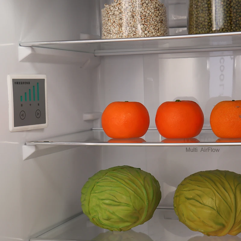 250WE-RE Two Door Fridge Retro Vintage Refrigerator Home Kitchen