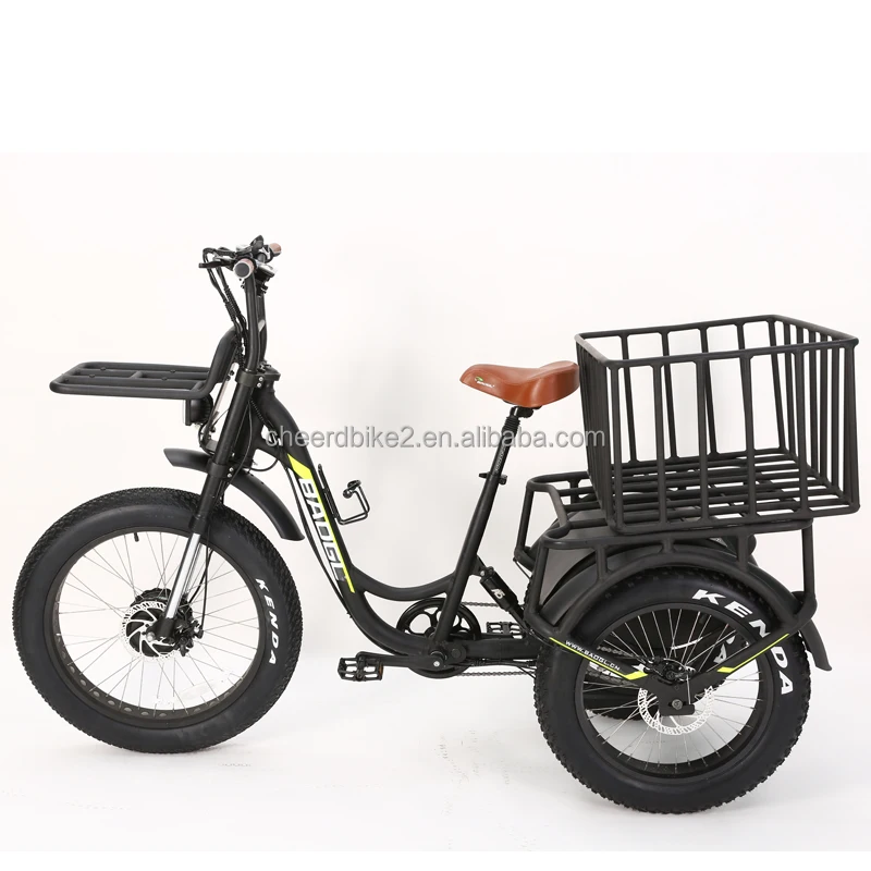 Three Wheel Bike 2.jpg