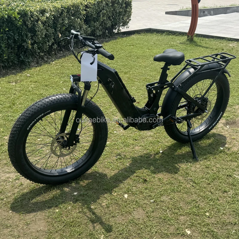 dual motor ebike 9.jpg