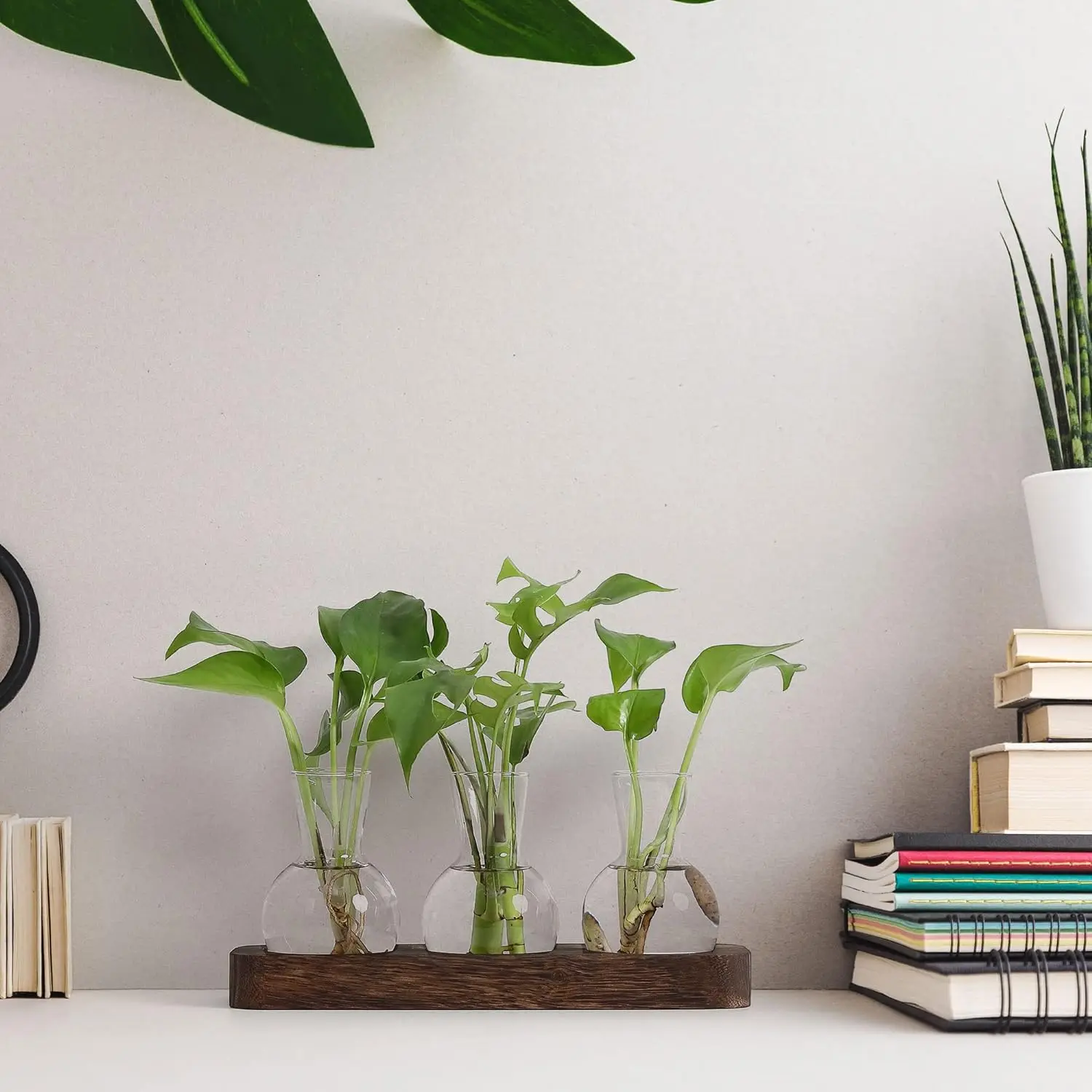 Retro Plant Terrarium with Wooden Tray