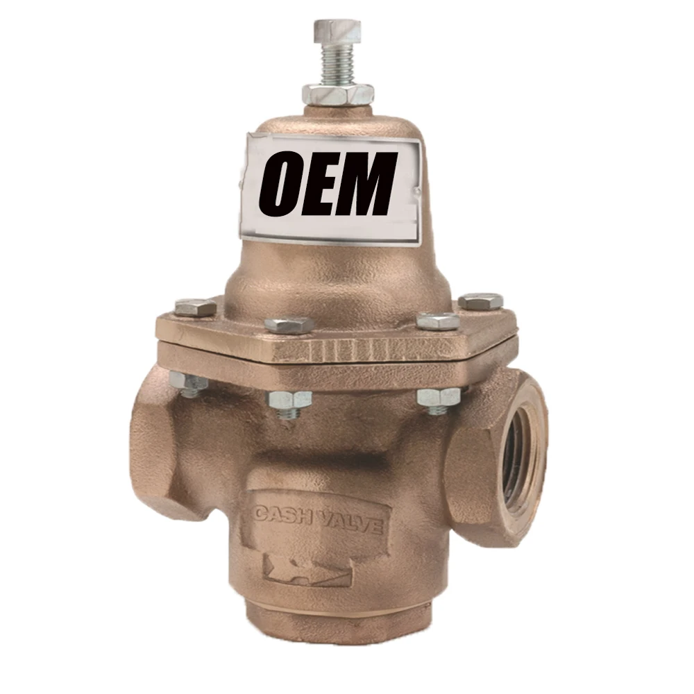 Cash Valve Type E-55 Series Cryogenic Pressure Regulators Oxygen Gas Regulator with Bronze Body and Spring Chamber for Pressure