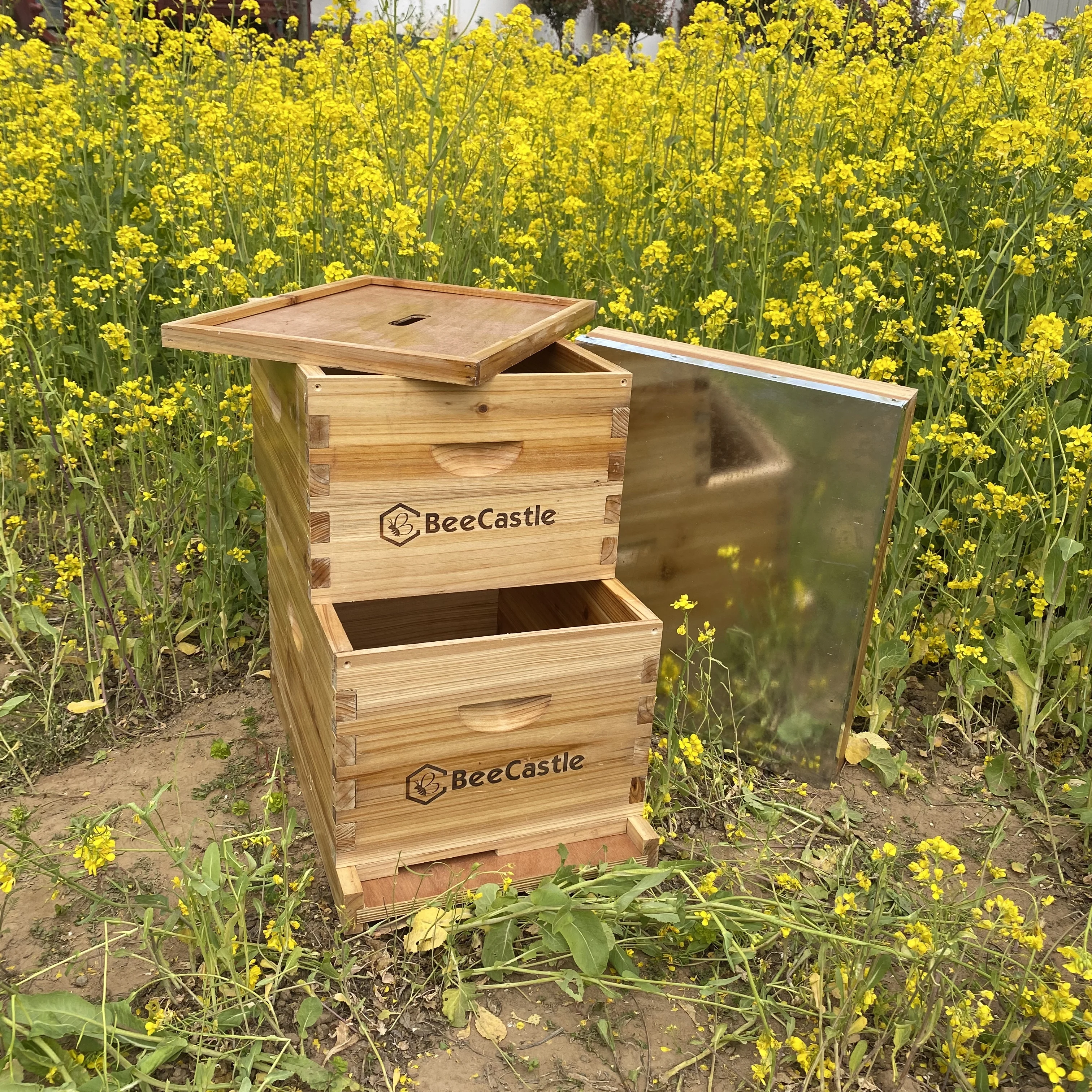 8 Frame Bee Hive Complete Beehive 100% Beeswax Coated Bee Hive(2 Layer)